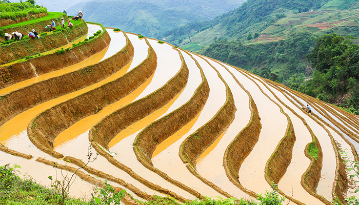 Sapa Bac Ha Market 2 days 3 nights (Hotel overnight)