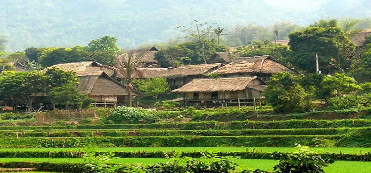 Mai Chau 1 day tour