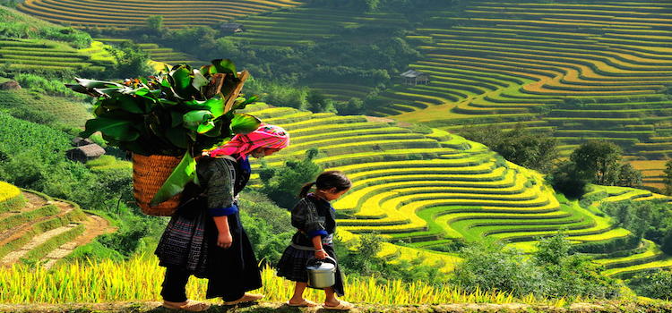Sapa trekking 2 days 1 night (homestay overnight)