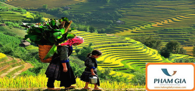 Sapa trekking 3 days 2 nights (hotel overnight)