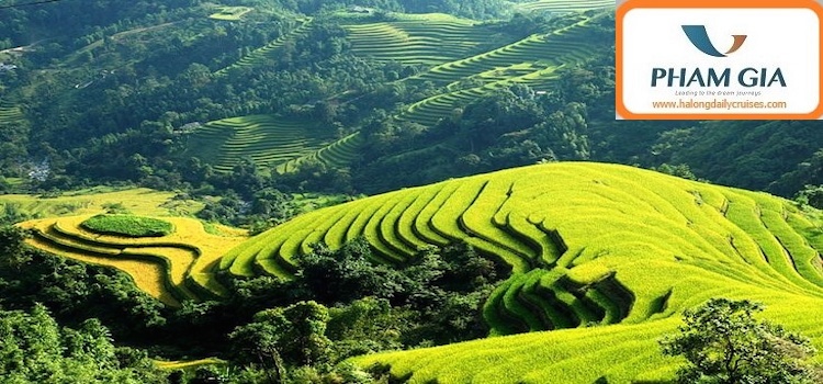 Sapa trekking 3 days 4 nights (hotel and homestay)