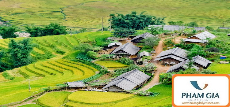 Sapa trekking 2 days 3 nights by train (homestay overnight)