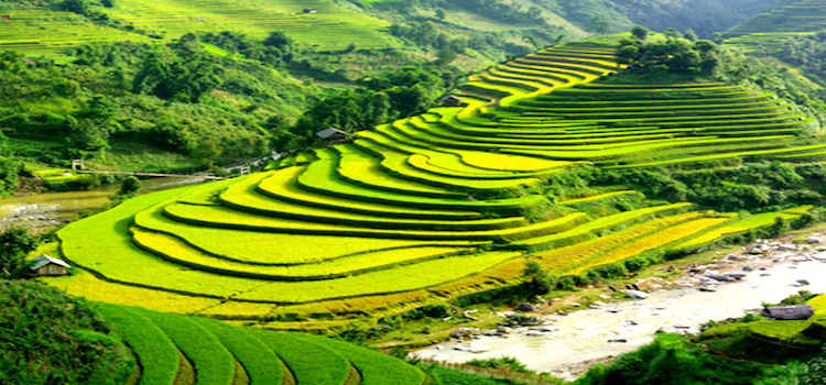 Sapa trekking 2 days 3 nights (hotel overnight)